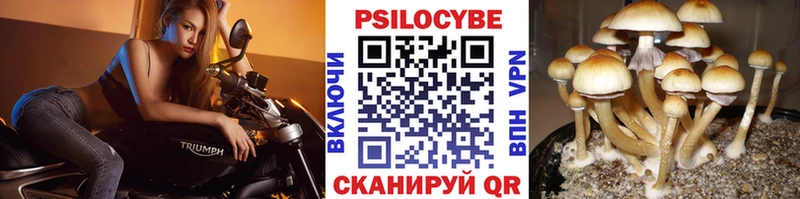 Галлюциногенные грибы ЛСД  мега   Тихорецк  купить  сайты 